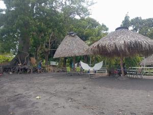 a group of tables and straw umbrellas on a beach at Dreamland Tour in Santa Teresa +7 photos
