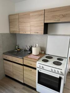 Dapur atau dapur kecil di Holiday Village Ostrog