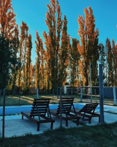 three benches in a park with trees in the background at Ciruelos del Sur - San Rafael Mendoza in San Rafael