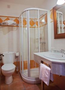 a bathroom with a shower and a toilet and a sink at Hotel The Island in La Isla +31 photos