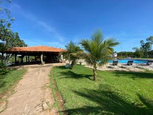 a palm tree in the grass next to a building at Pousada Pesque Pague Jango in Cuiabá