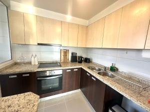 Kuchyň nebo kuchyňský kout v ubytování Luxury apartment Las Condes + 29 fotografií