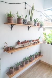 Fotografie z fotogalerie ubytování Indonesia Eco Tour Homestay v destinaci Yogyakarta