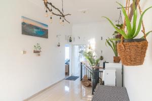 Fotografie z fotogalerie ubytování Indonesia Eco Tour Homestay v destinaci Yogyakarta