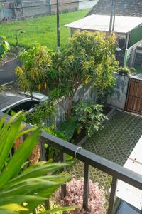 Zahrada ubytování Indonesia Eco Tour Homestay