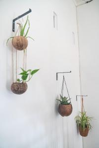 Fotografie z fotogalerie ubytování Indonesia Eco Tour Homestay v destinaci Yogyakarta