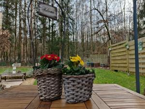 Zahrada ubytování Forest Chalet in Chatillon