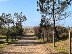 a dirt road with trees on both sides at Studio 50 m² avec Jardin à 350 m de la Plage, Saint Brevin l’Océan - FR-1-364-158 in Saint-Brevin-les-Pins