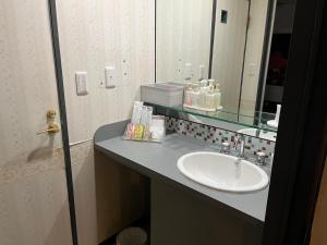 un baño con lavabo y espejo en ホテルグランドール, en Mito