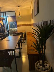 a dining room with a table and a potted plant at Center Prime Hotel in Bom Jesus da Lapa