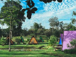 O grădină în afara Sumiran Eco Park & Resort +7 fotografii
