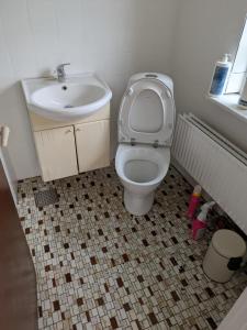 HolebyにあるCharming half-timbered house near Fermen & Puttgarden & Lalandiaのトイレと洗面台付きのバスルーム