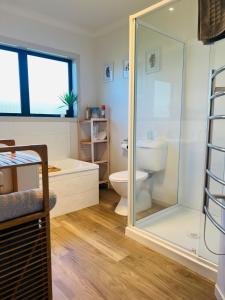 a bathroom with a shower and a toilet and a sink at Convenient in Cambridge in Cambridge