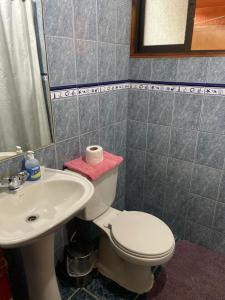 Un baño con un inodoro blanco y un lavabo. en Casa Rukalma Centro, en Villarrica 14 fotos más