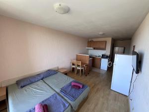 A kitchen or kitchenette at Julia Vigo Panorama apartments