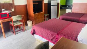 Postel nebo postele na pokoji v ubytování Executive Inn Robstown