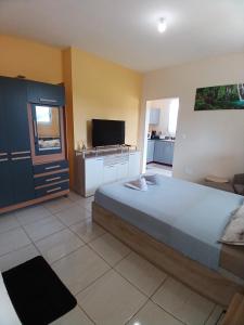 a bedroom with a large bed and a television at Les studios de l'Ouest in Saint-Laurent du Maroni