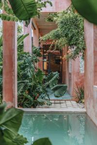 a courtyard with a pool of water and plants at A-Wotoch Centro de Mérida in Mérida