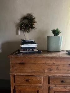 Una cómoda de madera con libros y una planta en maceta encima. en Casa antica toscana, en San Casciano in Val di Pesa