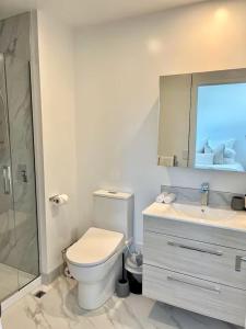 een badkamer met een toilet, een wastafel en een spiegel bij Stadium Suite on Southwark - Luxury in City Centre in Christchurch +21 foto's