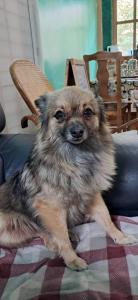 Imagen de la galería de ALBERGUE peregrinos CASAFLOR, en Murias de Rechivaldo