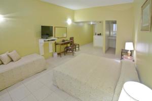 Dayrell Hotel e Centro de Convenções的电视和/或娱乐中心
