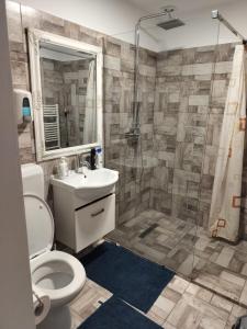 a bathroom with a shower and a toilet and a sink at Florentinas Apartment in Braşov
