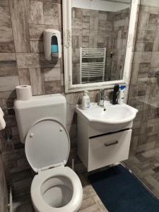 a bathroom with a toilet and a sink and a mirror at Florentinas Apartment in Braşov +4 photos