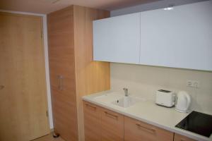 Kuchyňa alebo kuchynka v ubytovaní Aqua Apartman Panoráma