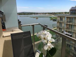 Výhľad na rieku v blízkosti apartmánu