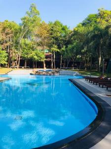 Bazén v ubytování Hotel Kamrel Sigiriya nebo v jeho okolí