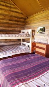 a bedroom with two bunk beds in a log cabin at The Wild Farm Backpackers in Wilderness