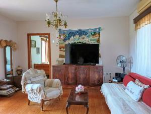 a living room with a couch and a tv at Paliouri House in Paliouri