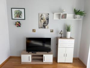 TV a/nebo společenská místnost v ubytování Apartament Viola