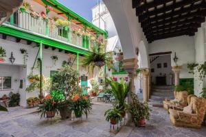 dziedziniec w budynku z doniczkami w obiekcie Apartamentos Jerez w mieście Jerez de la Frontera