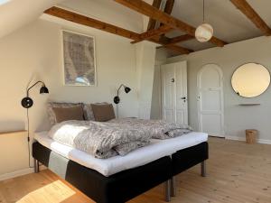 Vester-SkerningeDigebjerggaard Bed & Breakfast的房间里有一张大床的卧室