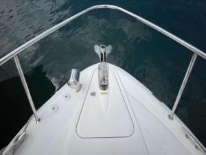 Зображення з фотогалереї помешкання LUXURY BOAT in MONACO в Монте-Карло