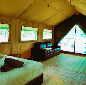 a room with a bed and a chair in a tent at Rossville Retreat in Rossville