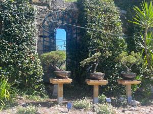 Imagem da galeria de Lou Pero Mousco em Saint-Paul-en-Forêt