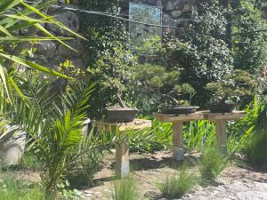 Imagem da galeria de Lou Pero Mousco em Saint-Paul-en-Forêt