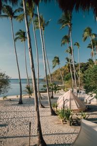 エルニドにあるDryft Darocotan Islandのヤシの木とテントが植わるビーチ