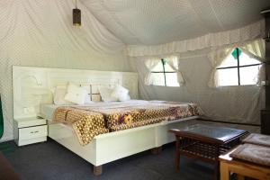 Φωτογραφία από το άλμπουμ του The tented tribe στη Νταραμσάλα