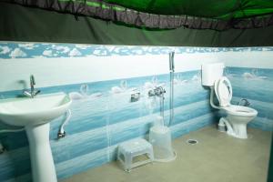 Φωτογραφία από το άλμπουμ του The tented tribe στη Νταραμσάλα +8 φωτογραφίες