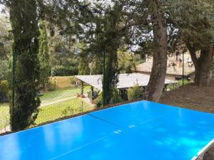 an overhead view of a blue tennis court with trees at Agriturismo, Casa Labirinto in Stazione di Chiusi