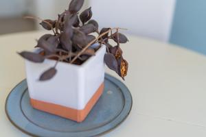 Imagen de la galería de Media Luna, en San José 41 fotos más