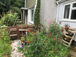 a garden with flowers in front of a house at Stylish Room Close to Beaches in Falmouth +14 photos