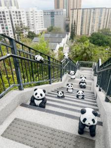 a group of panda pandas sitting on the stairs at 饒宗頤文化館 - 翠雅山房 in Hong Kong