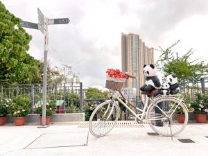 two stuffed pandas are riding a bike with a basket at 饒宗頤文化館 - 翠雅山房 in Hong Kong