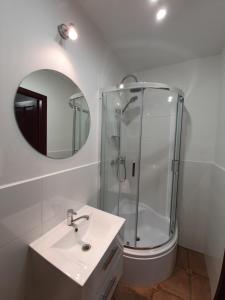 ein Badezimmer mit Dusche, Waschbecken und Spiegel in der Unterkunft Studio Żubrowe II in Przymorze + 6 Fotos