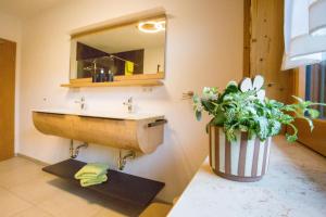 a bathroom with a sink and a potted plant at Chalet Hüttenzauber in Mehlmeisel +36 photos